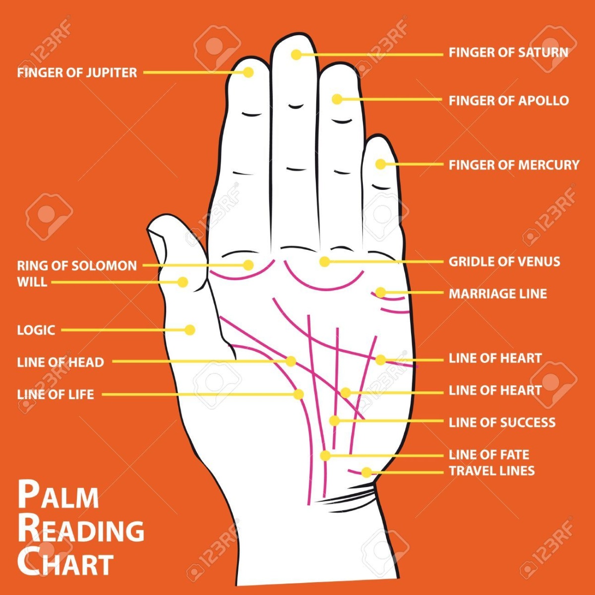 linea de la salud quiromancia lectura de manos